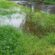 Tackling Standing Water: Causes, Prevention, and Solutions