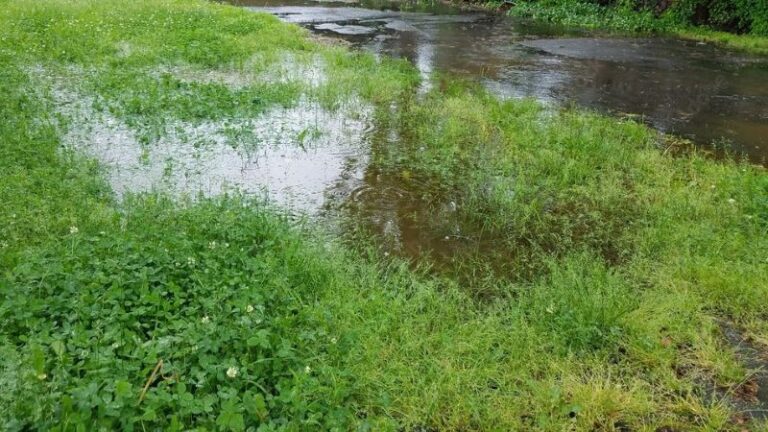 Standing water