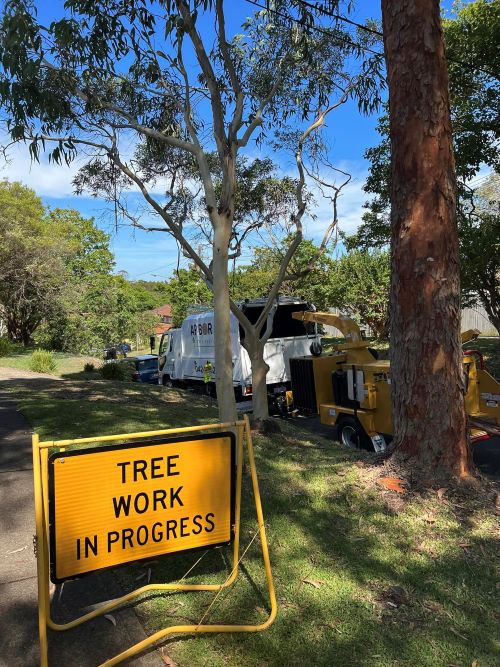 Arbor Co Tree Services