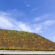 Elevate Your Roofing Standards – Above and Beyond Shingles