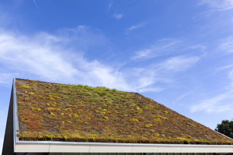 Elevate Your Roofing Standards – Above and Beyond Shingles