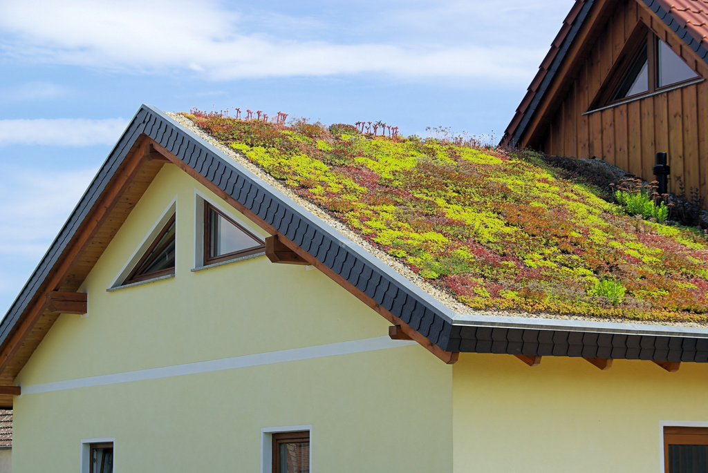 Green roof