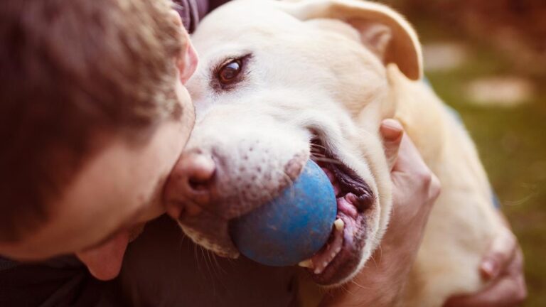 Man having fun and playing with his dog