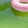 Why is Regular Pool Cleaning Essential for a Sparkling Oasis?