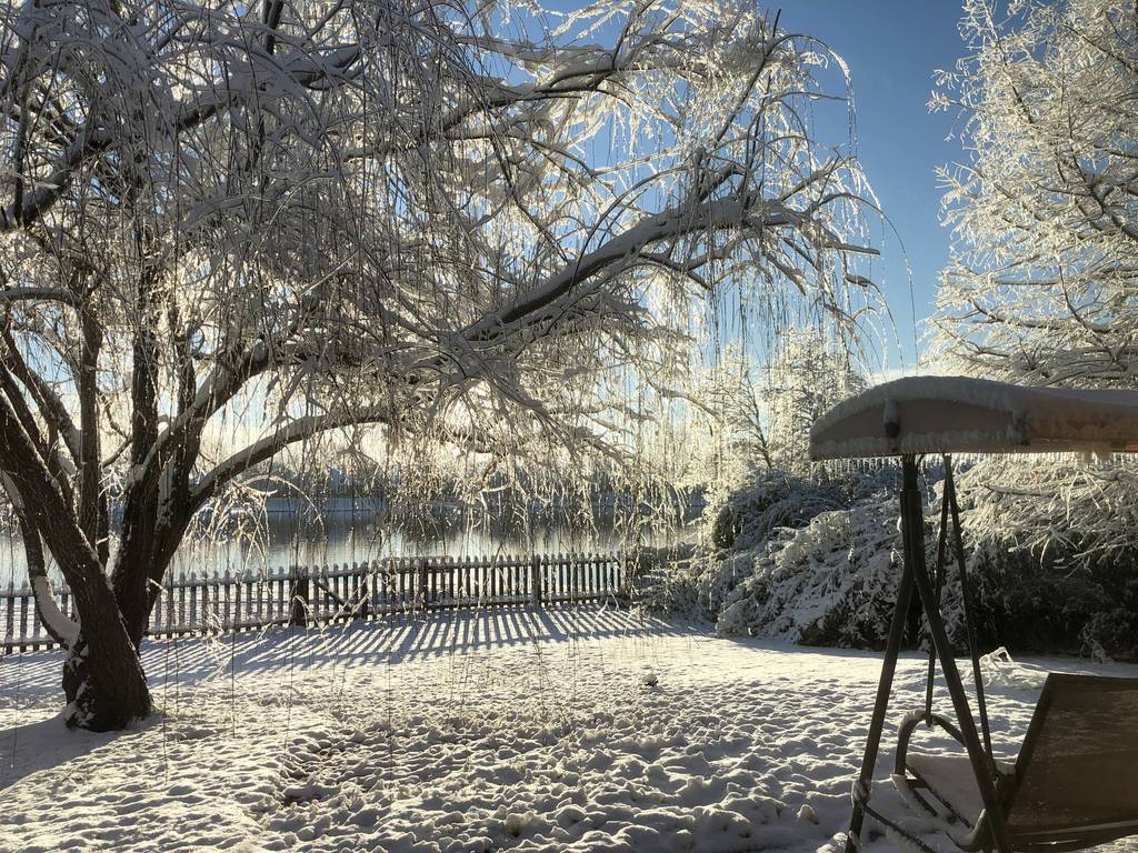 Backyard Beautiful 