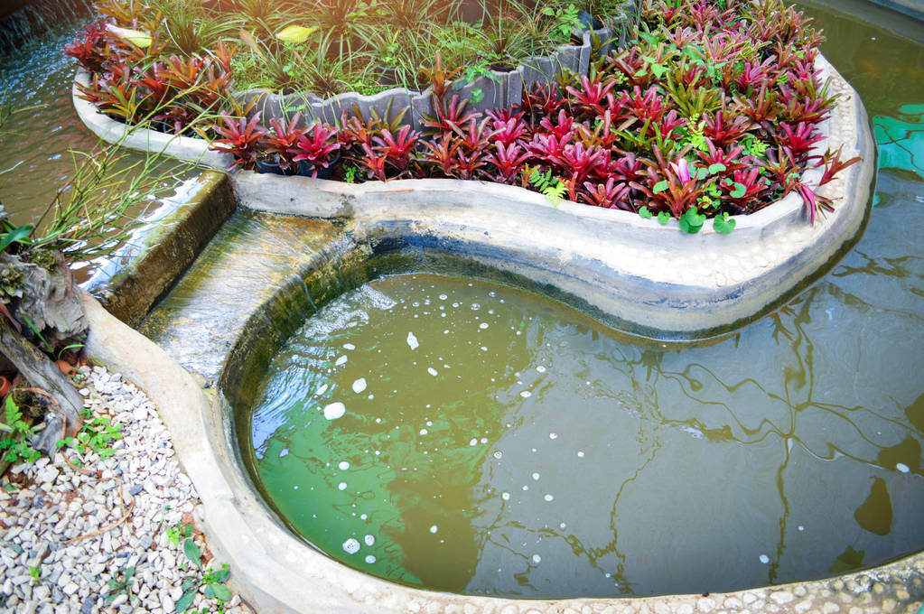 Pond garden 