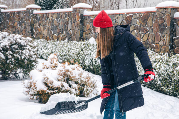 How to Keep Your Backyard Beautiful in Winter