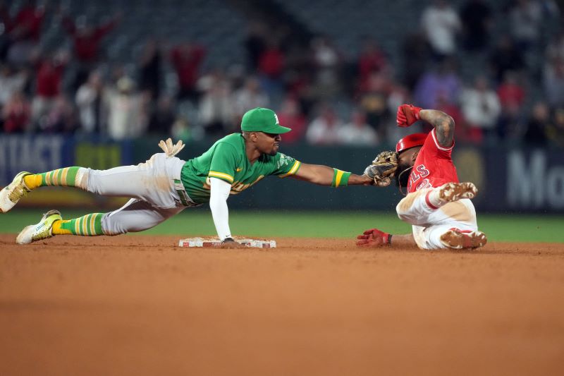 brachial plexus injury baseball