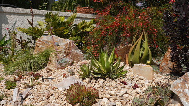 Xeriscaping-home renovations