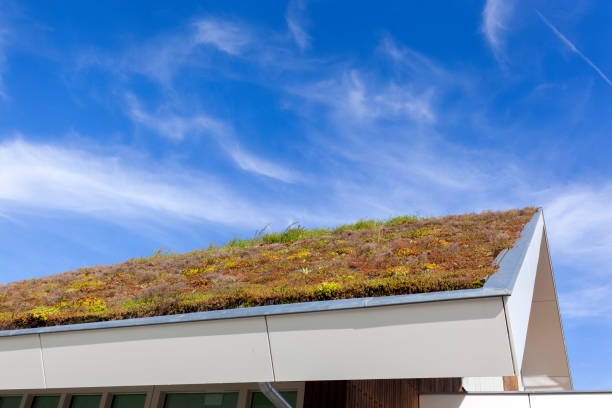 Living roofs