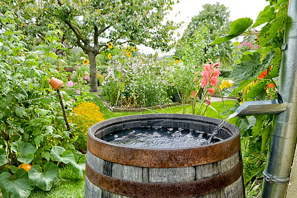 Rain gardens