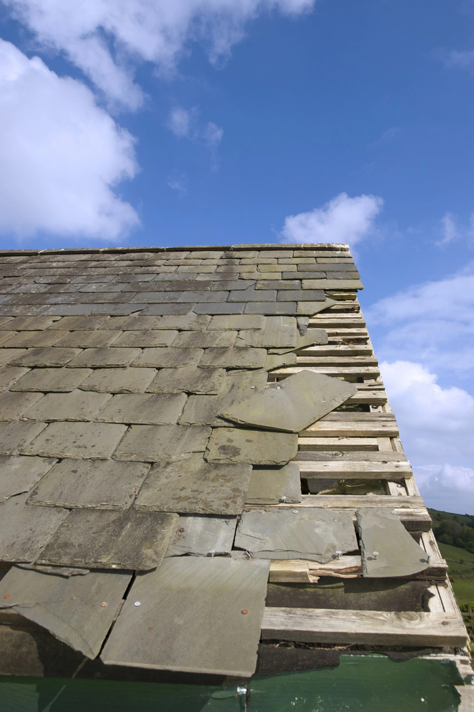 Roof Damage 