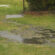 Water Damage Prevention – Green Building Solutions