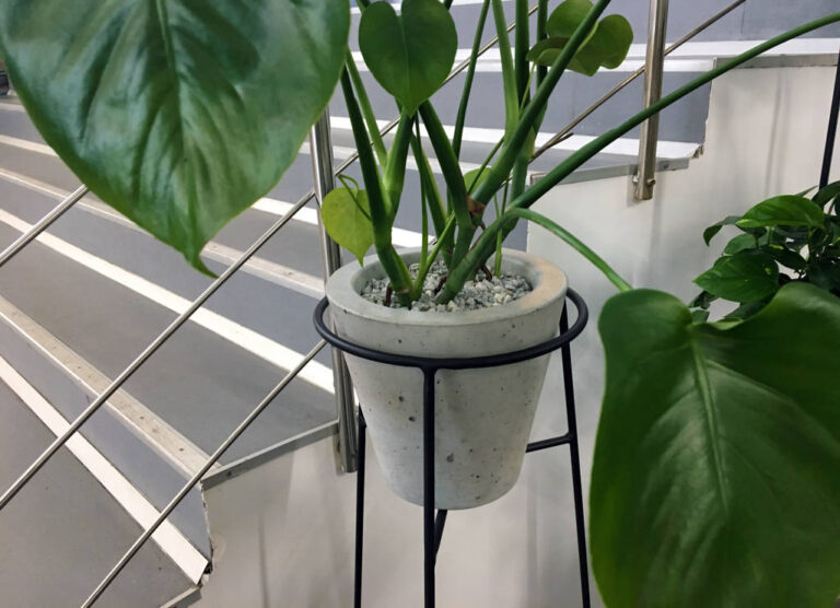 Concrete Flower Pot