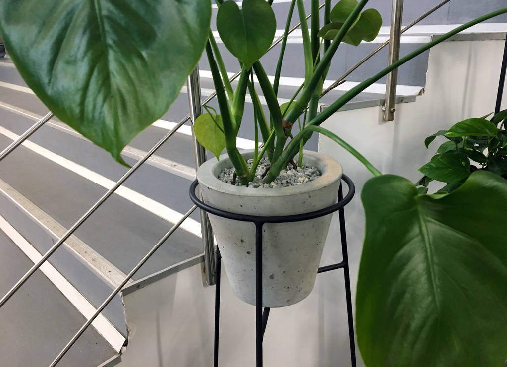 Concrete Flower Pot