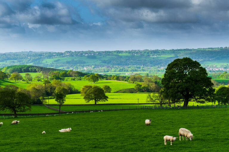 Yorkshire