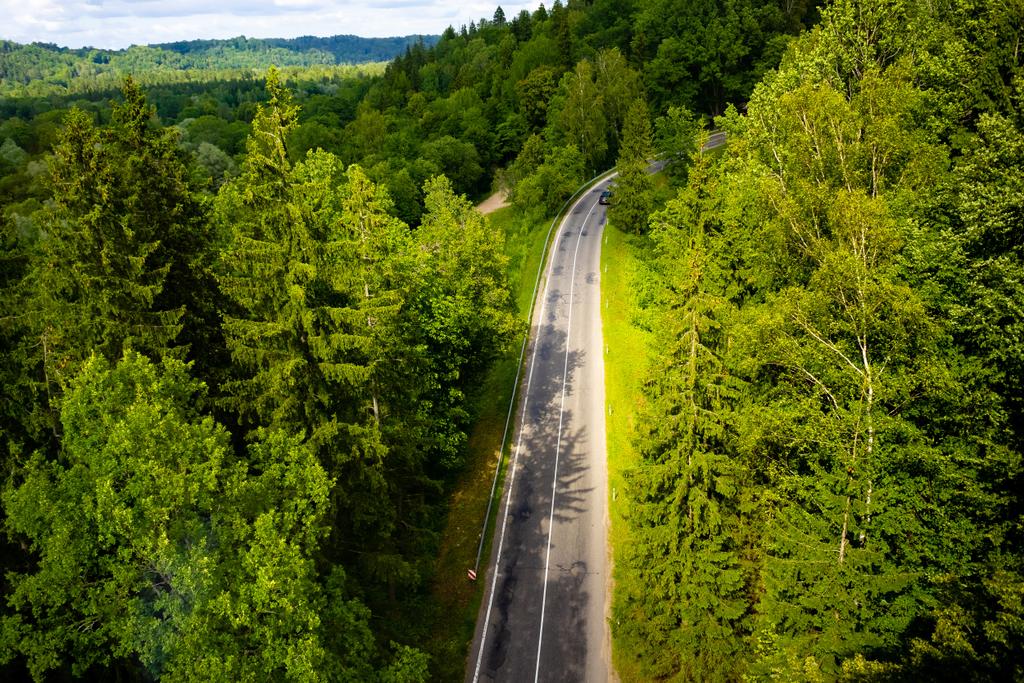 road trip