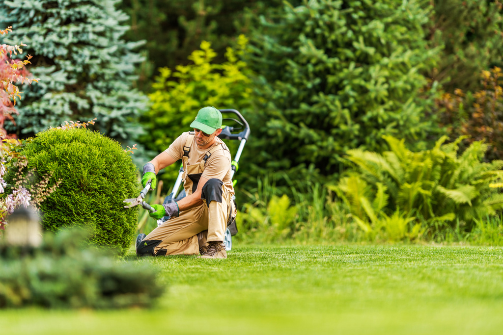 Landscaping