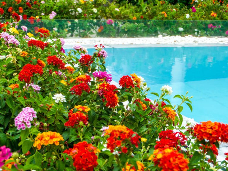 building a garden swimming pool