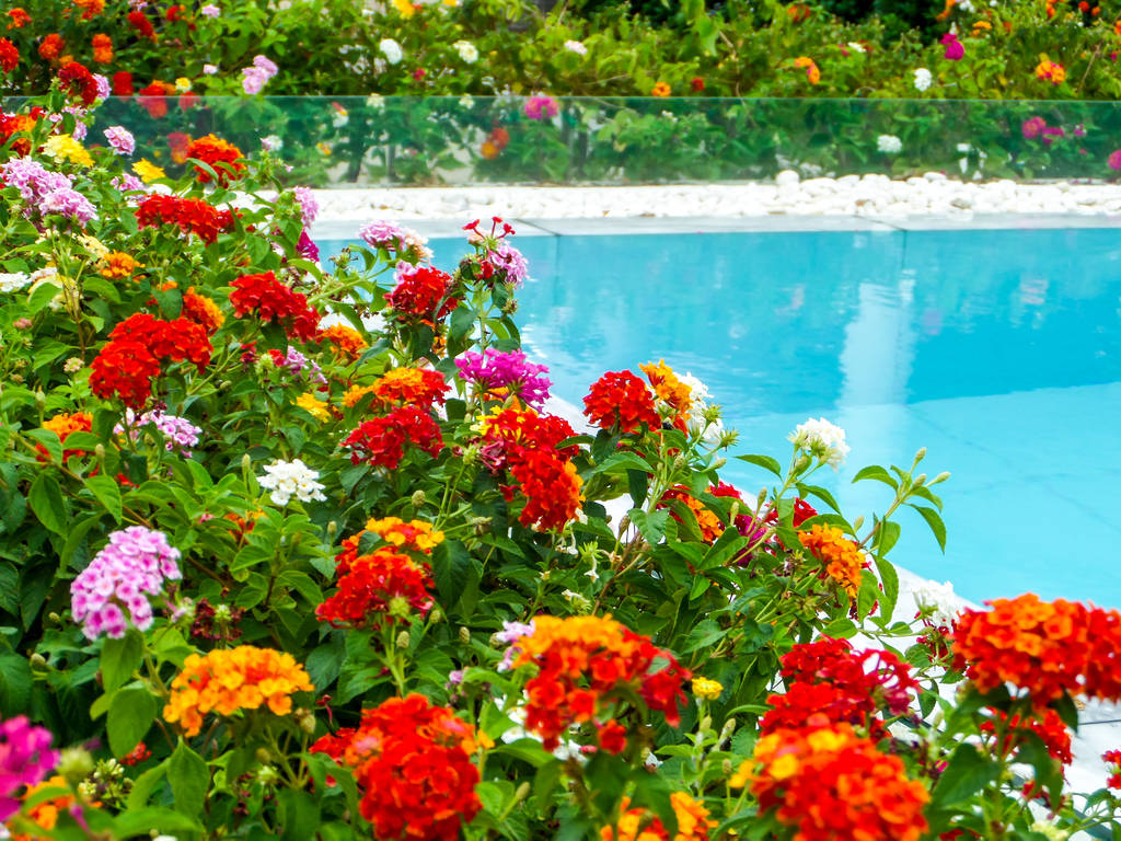 building a garden swimming pool