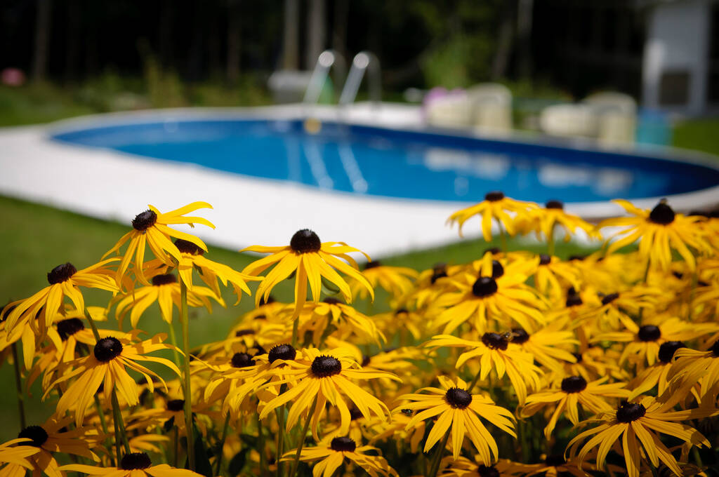 building a garden swimming pool