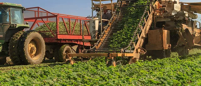 Kruger foods