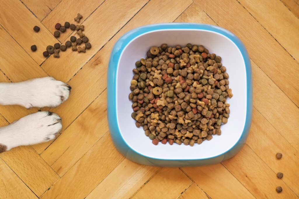 healthy pet