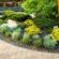7 Landscape Design Tips for Beginners