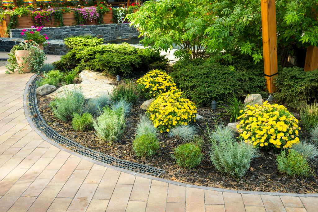 landscape design