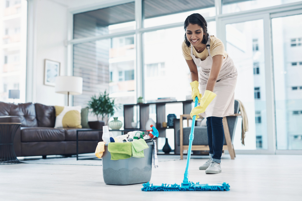 Professional Cleaners