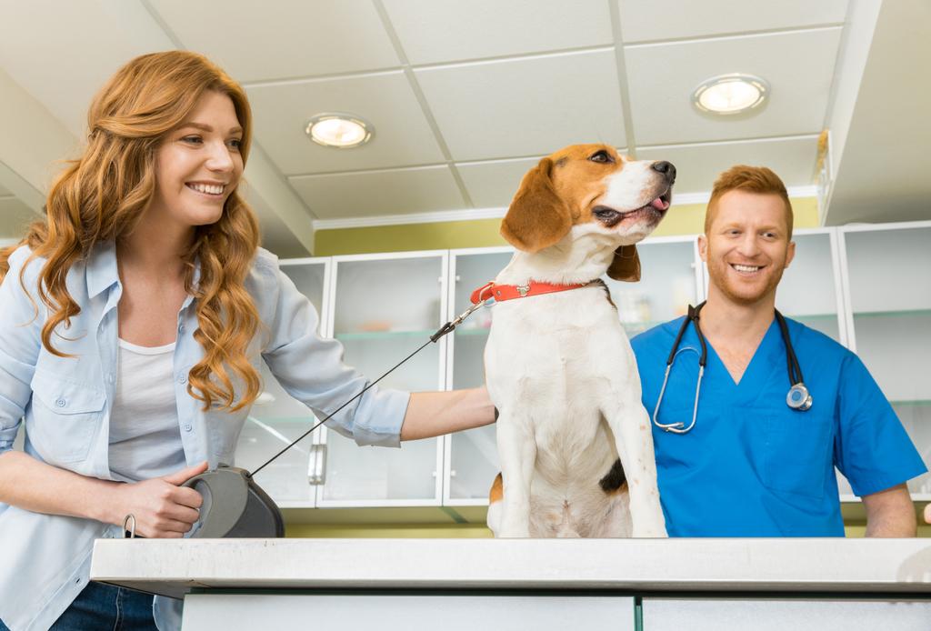 veterinary doctor