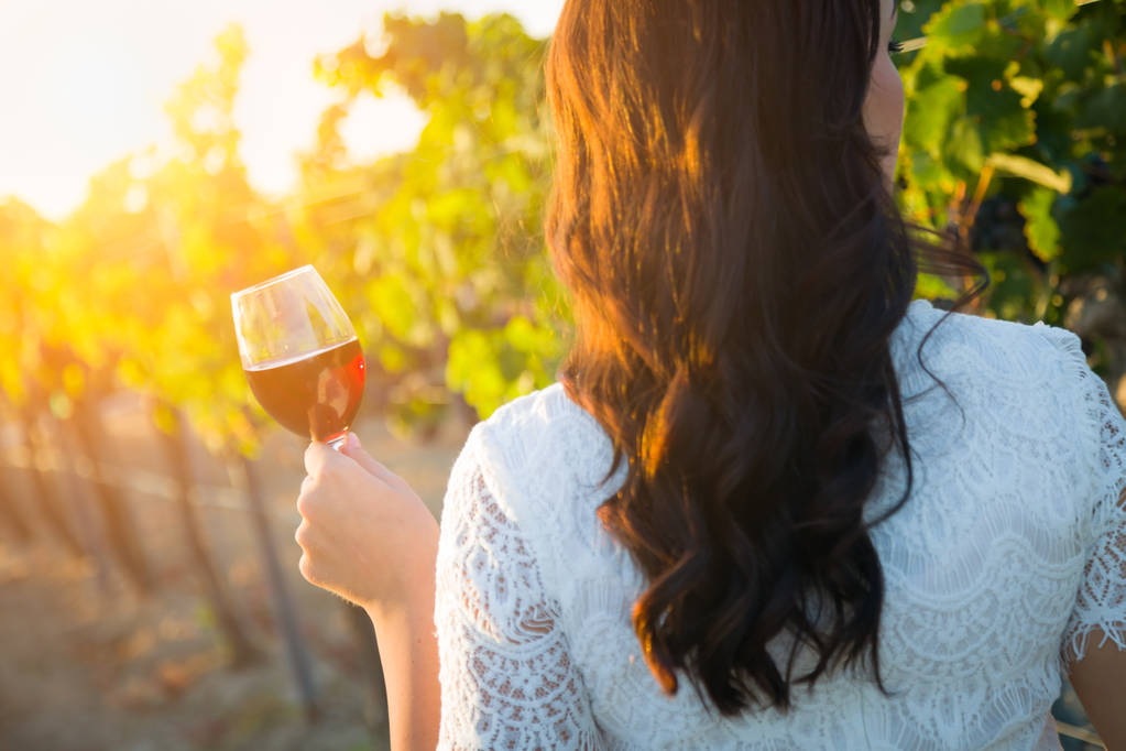 Winery Excursion