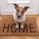 Tips for First-Time Home buyers