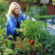 The 3 Best Strategies To Make Vegetable Gardening Easier