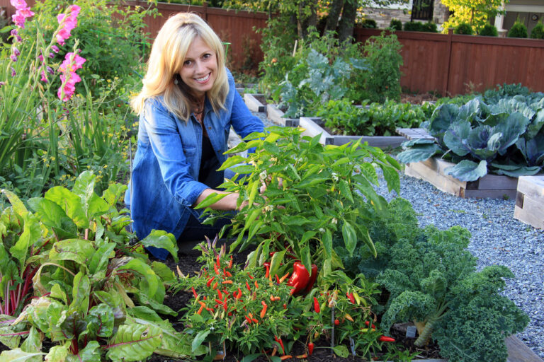 vegetable garden