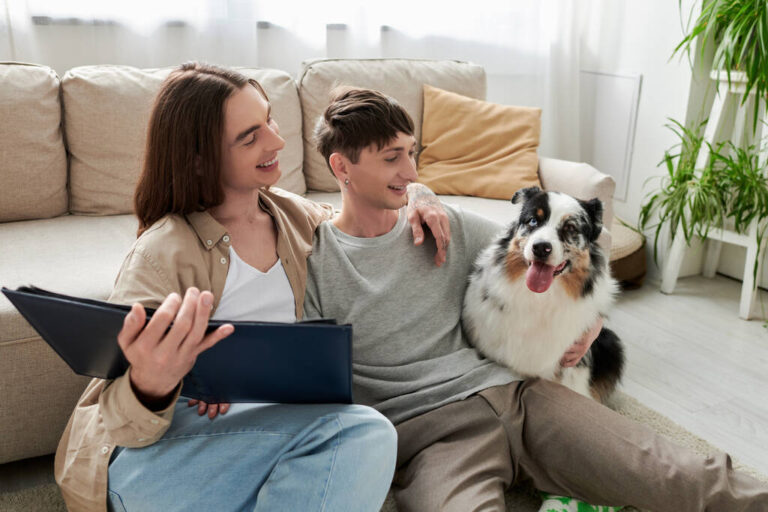 Australian Shepherd