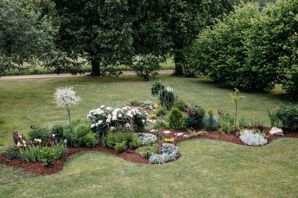 Low-Maintenance Garden