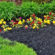 Simple Tips for a Healthier, Low-Maintenance Garden