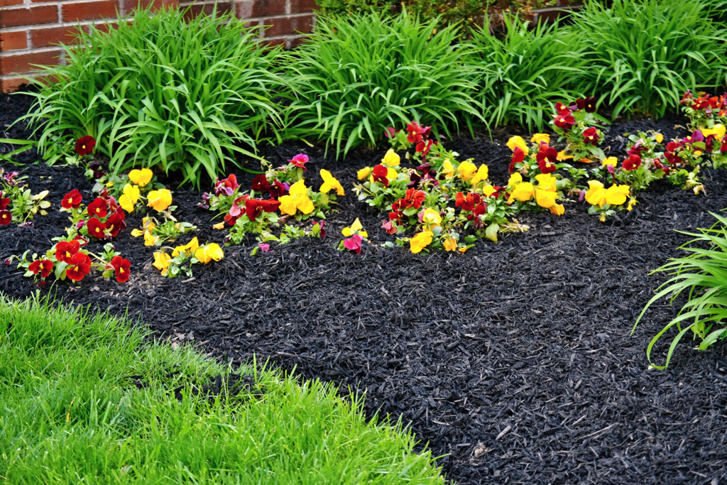 Spring flowerbed