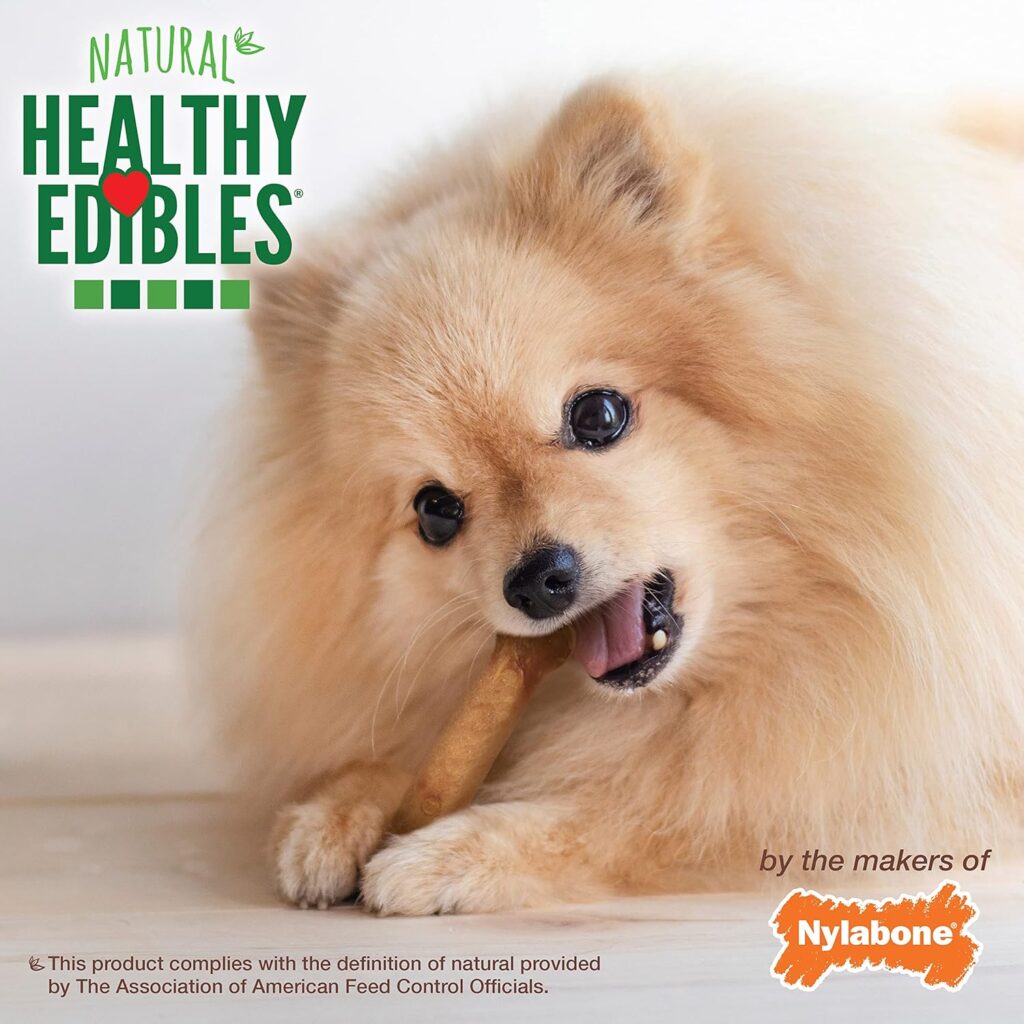 
Nylabone Healthy Edibles Petite Bacon Flavored Dog Treats