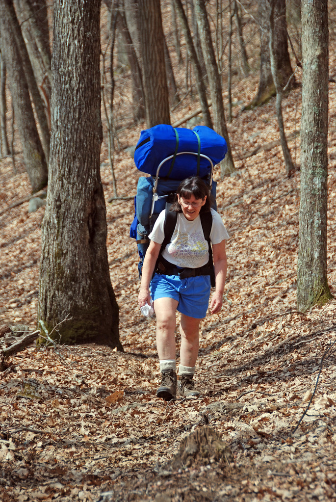 Wolf Creek trail in the Great Smoky Mountains