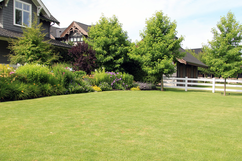 Make Lawn Care Easier