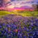 How to Plan a Family Vacation to Fredericksburg