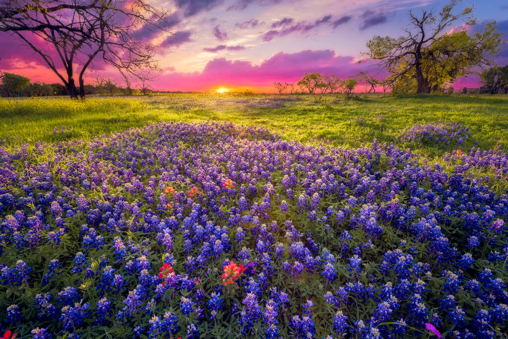 Fredericksburg, TX