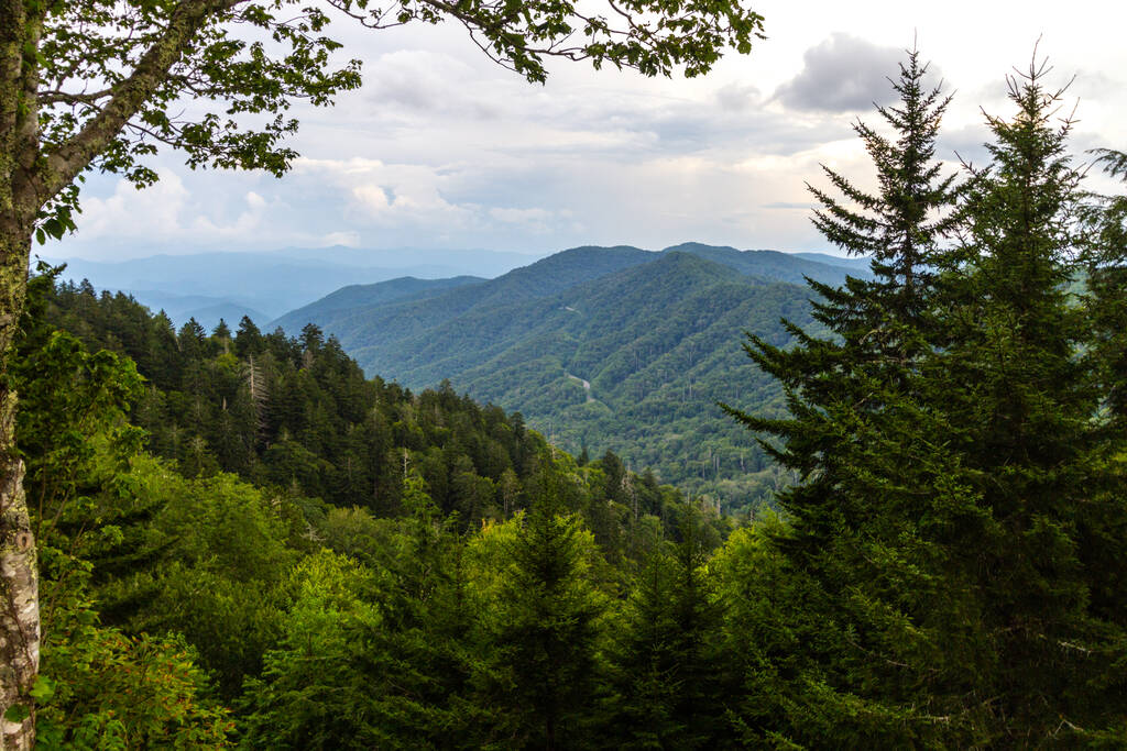 the Great Smoky Mountains National Park