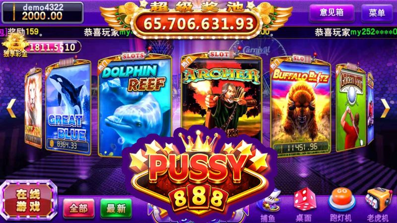 ID Test Pussy888