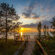 Top Ontario Parks to visit this summer