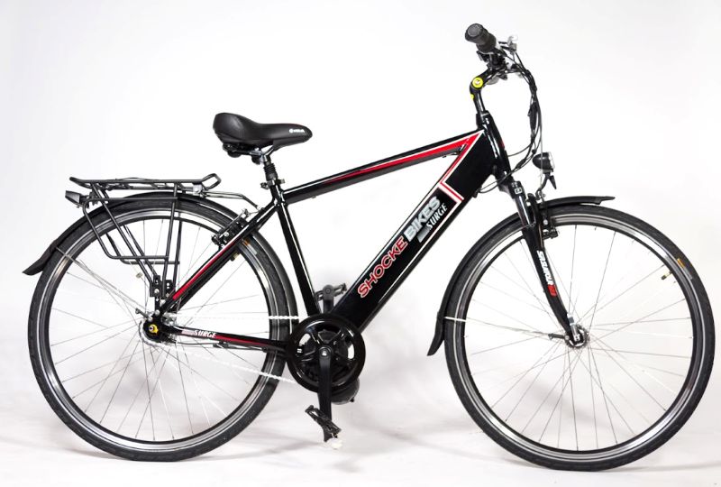 canadian made electric bikes