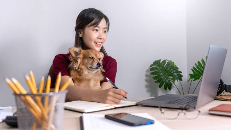 Pet Companionship