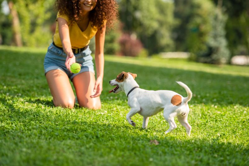 Pet Companionship